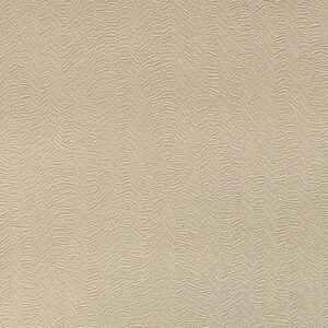 Papel de Parede RIO Ref: ys151201