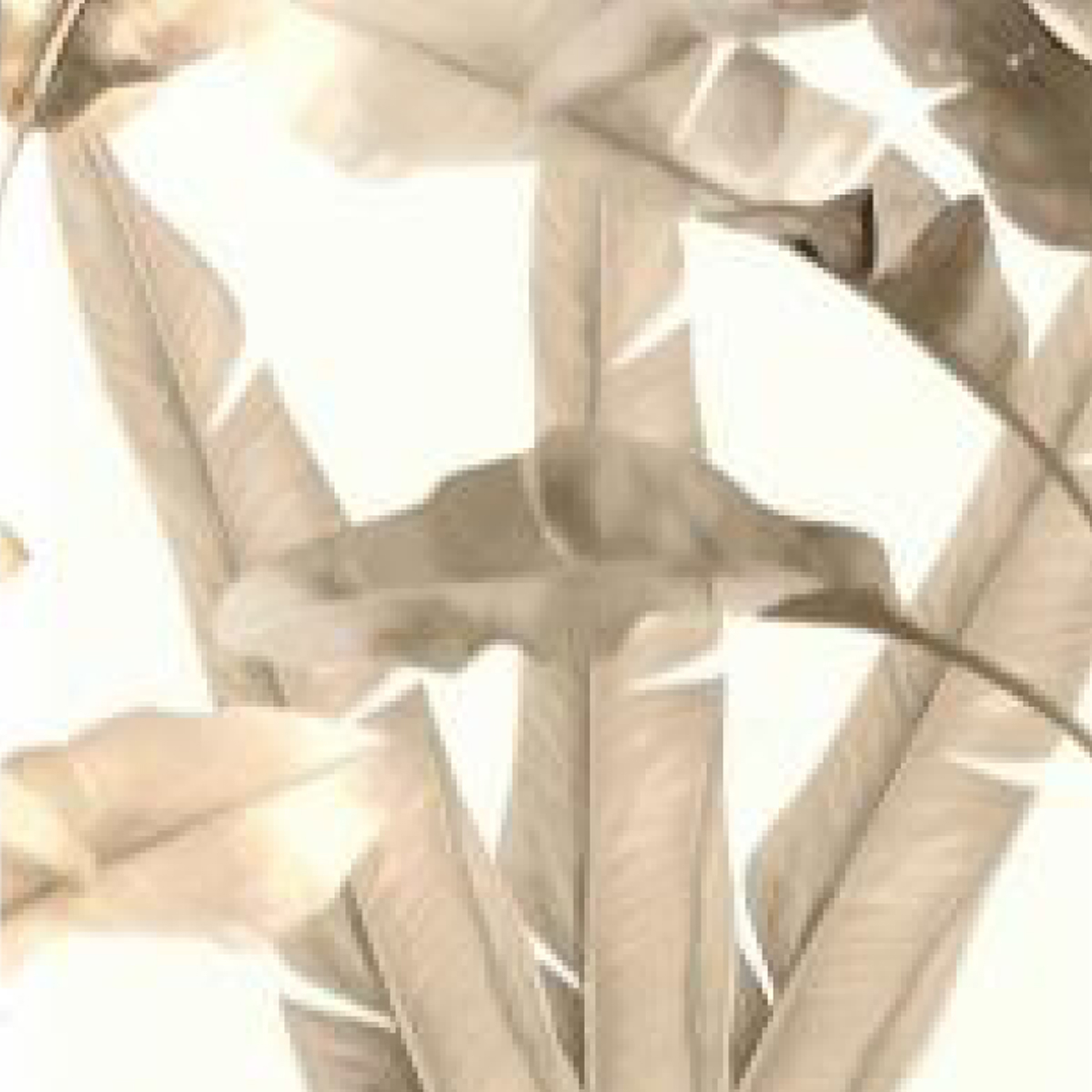 Papel de Parede Refúgio Ref.: regugio_4502